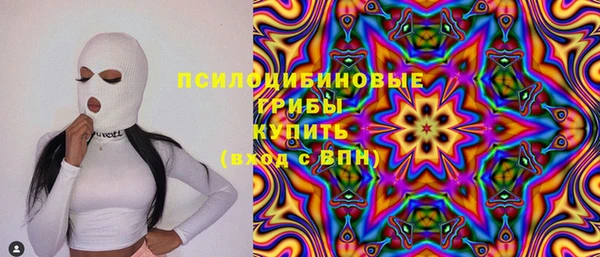 дживик Касимов