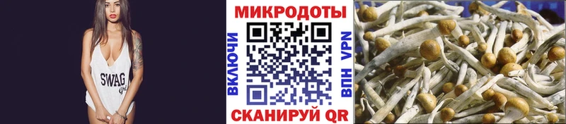 Псилоцибиновые грибы ЛСД  Купить закладки  Краснотурьинск 